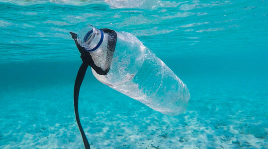 原生塑料 vs. 再生塑料？有什麼優缺點？